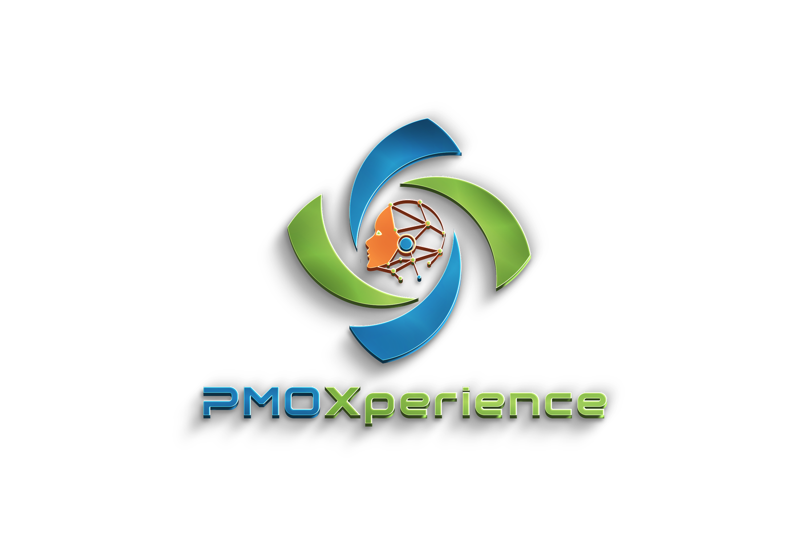 PMOXperience
